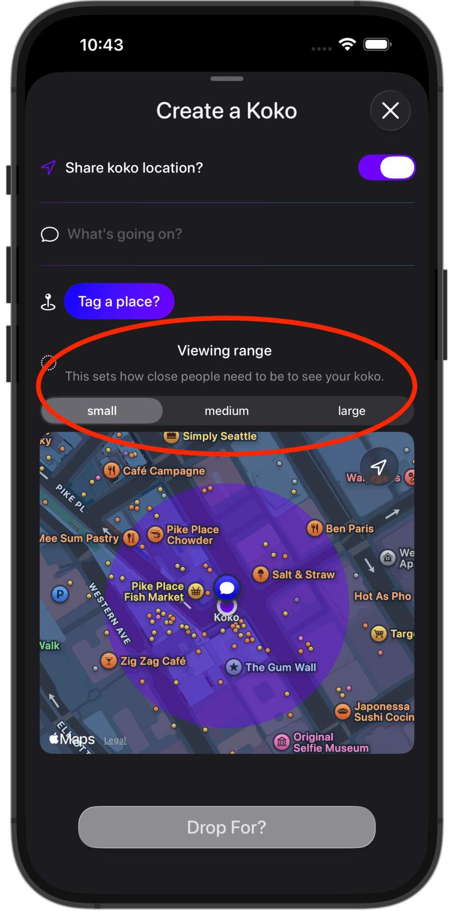 Koko app screenshot for step 3: Choose who it is for